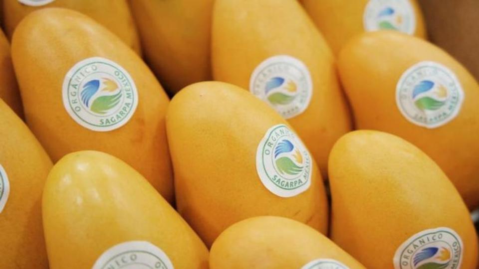 In tem nhãn trái cây